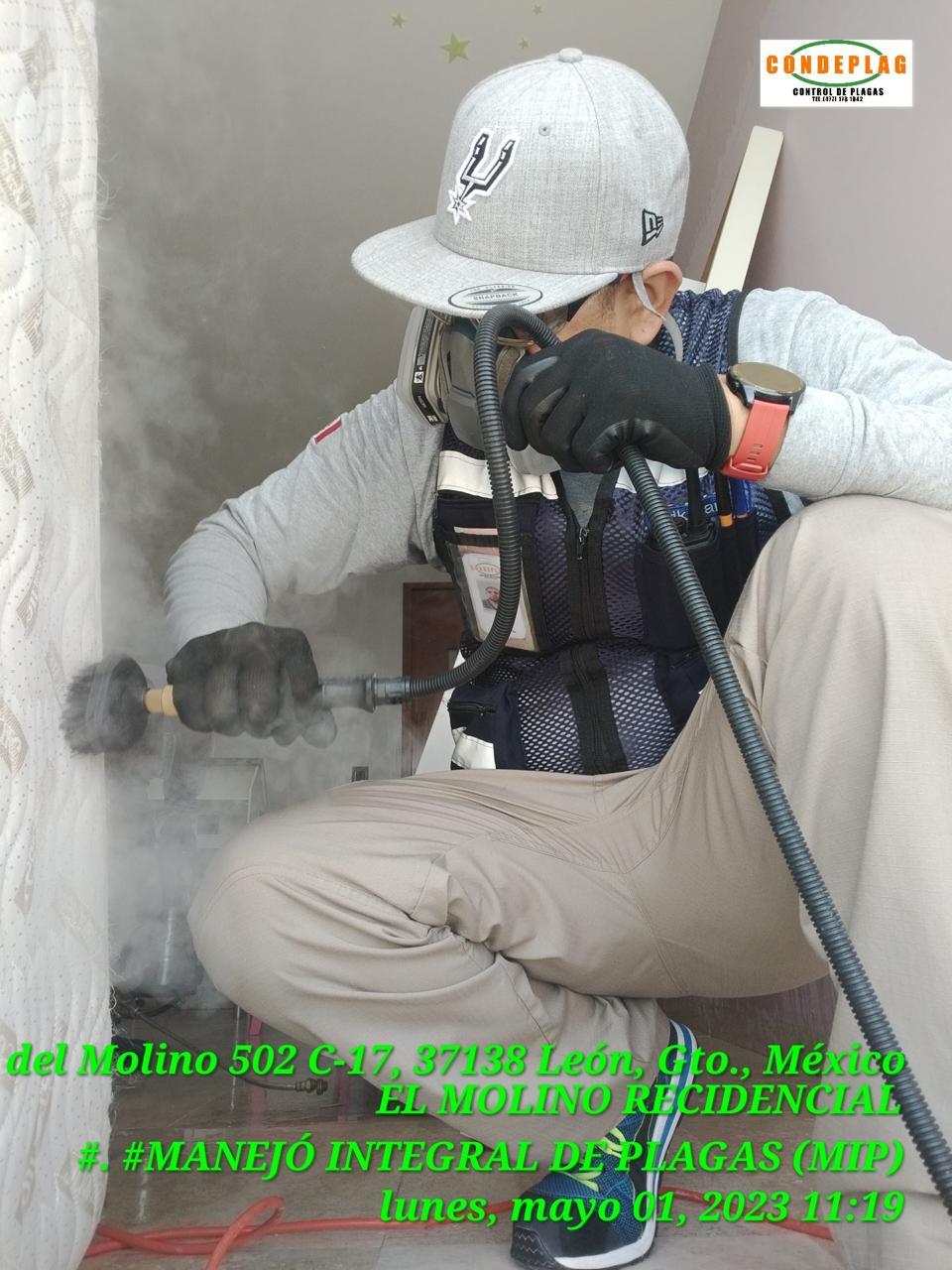 Control de chinche de cama